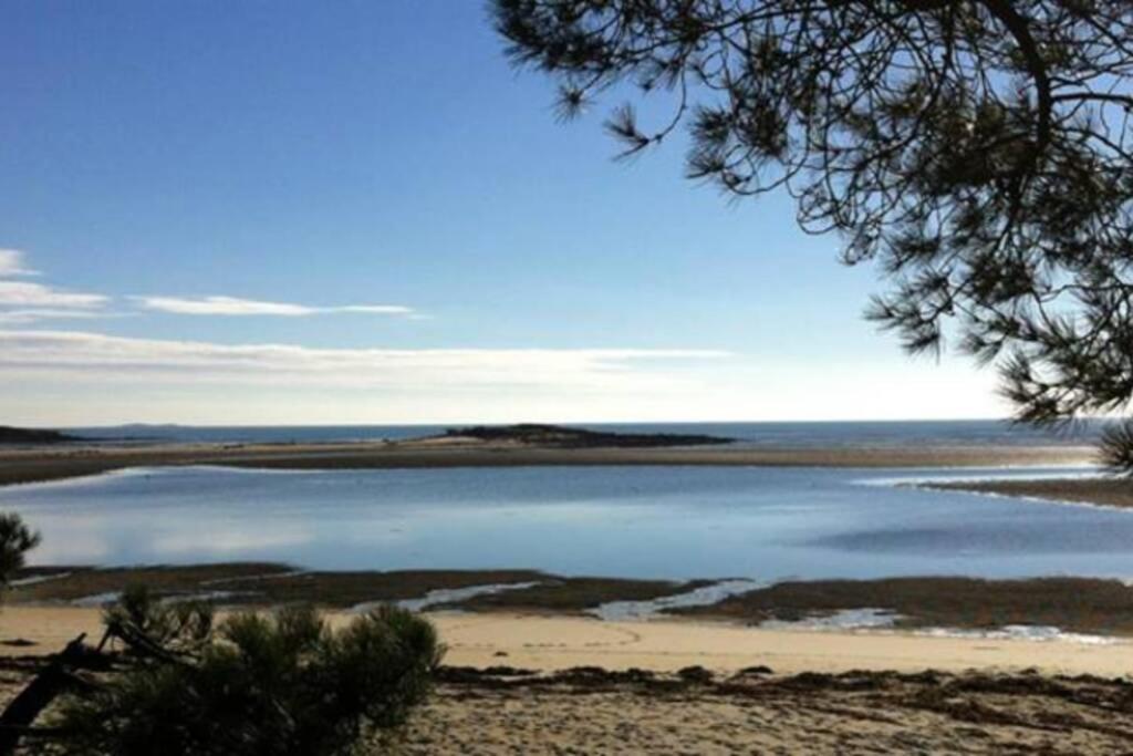 Maison Avec Jardin Clos. Animaux Acceptes - Wifi - Proche Plages De La Trinite Sur Mer Et Carnac 外观 照片
