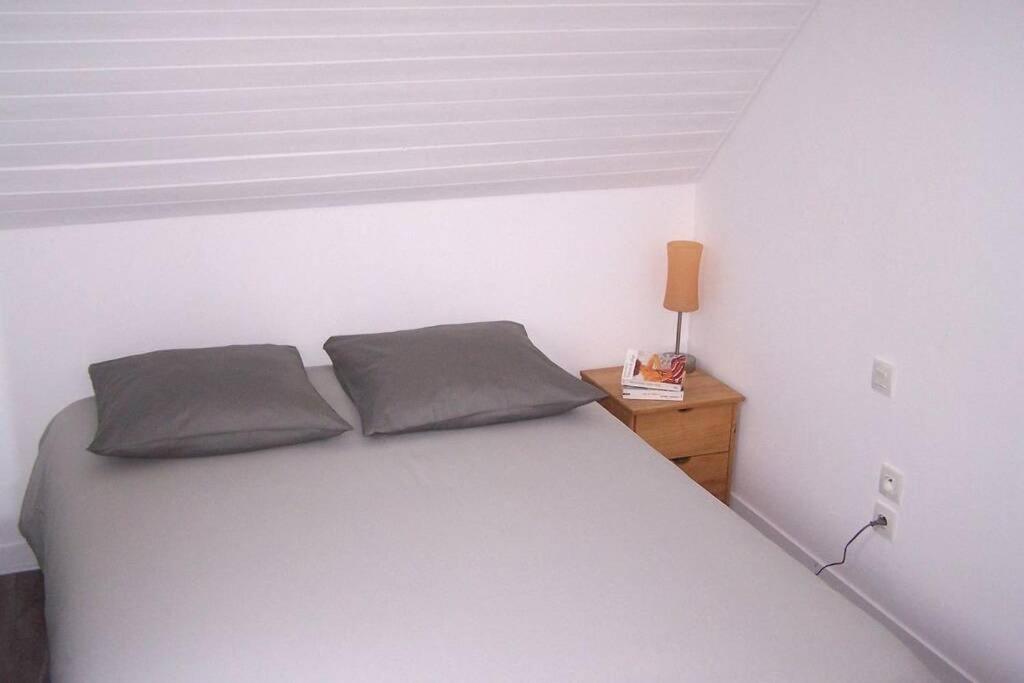 Maison Avec Jardin Clos. Animaux Acceptes - Wifi - Proche Plages De La Trinite Sur Mer Et Carnac 外观 照片