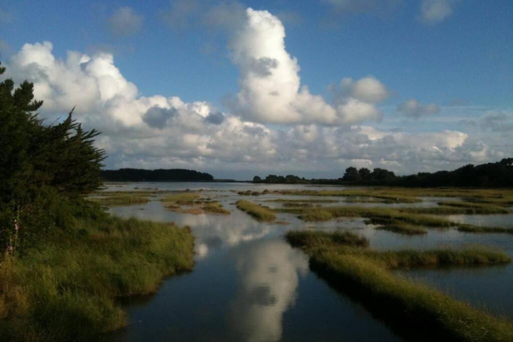 Maison Avec Jardin Clos. Animaux Acceptes - Wifi - Proche Plages De La Trinite Sur Mer Et Carnac 外观 照片